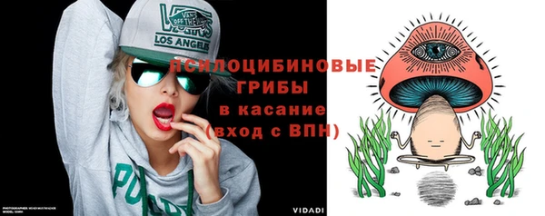 герыч Пересвет