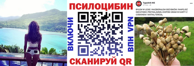 Галлюциногенные грибы Magic Shrooms  MEGA ССЫЛКА  Усолье-Сибирское 