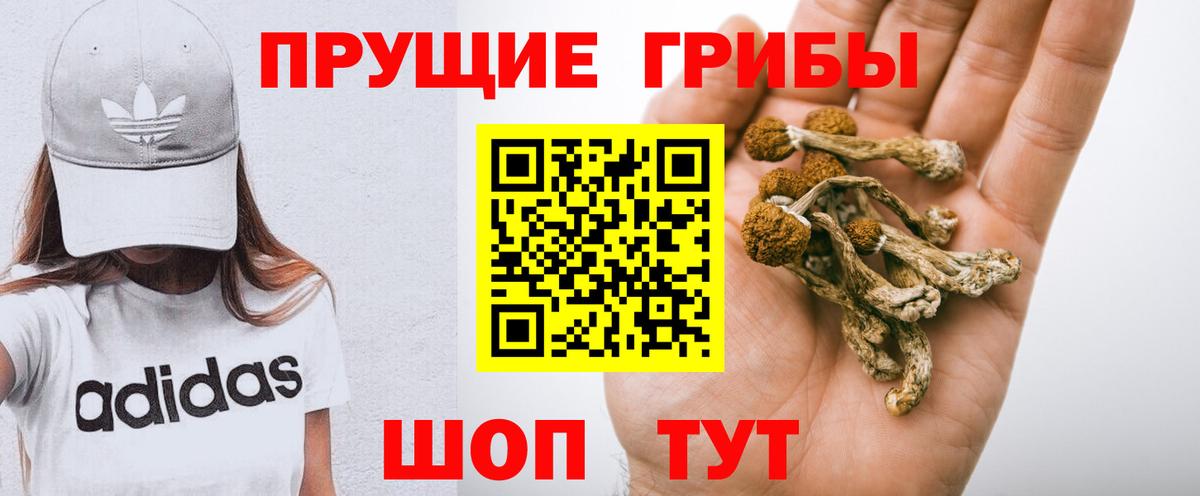 Псилоцибиновые грибы мухоморы Усолье-Сибирское