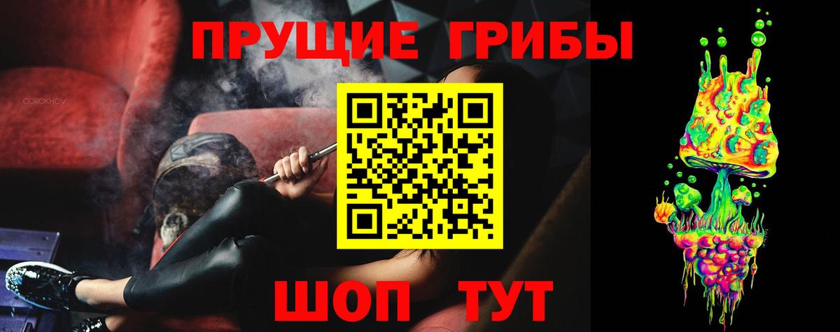 Псилоцибиновые грибы Psilocybine cubensis Усолье-Сибирское